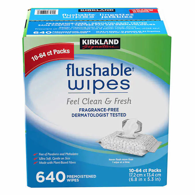 Kirkland Signature Disposable Wipes 640 Wipes